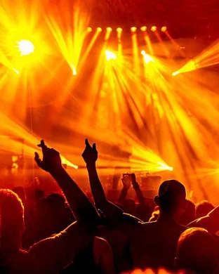 Venus and the Flytraps New York