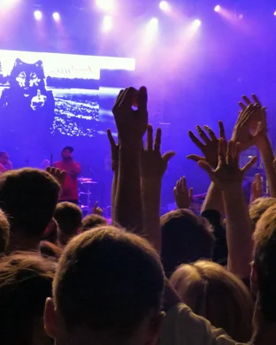 The David Bowie Birthday Retrospective New York