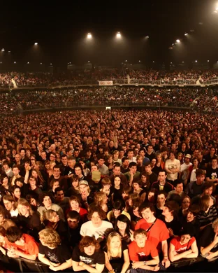 Candlelight: The Best of Bollywood and Tollywood on Strings