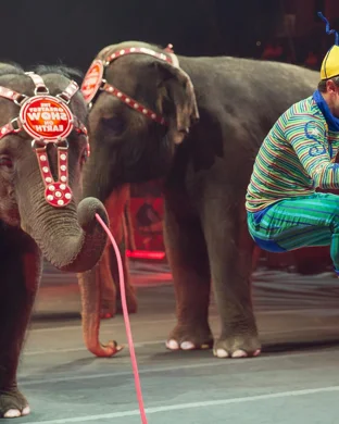 Big Apple Circus New York