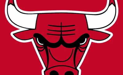 Chicago Bulls