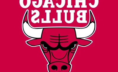 Chicago Bulls
