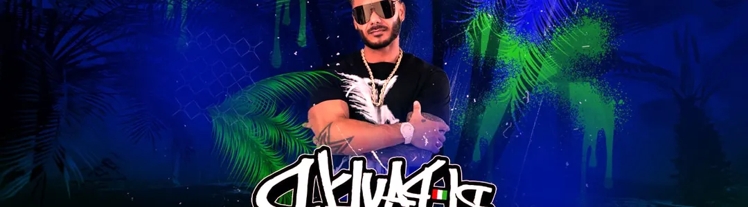 DJ Pauly D