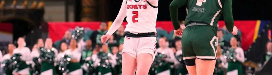 Fairfield Stags