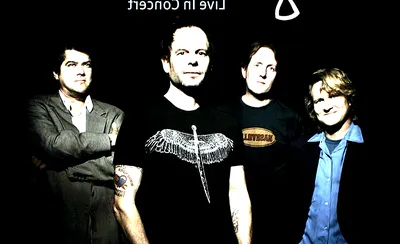 Gin Blossoms