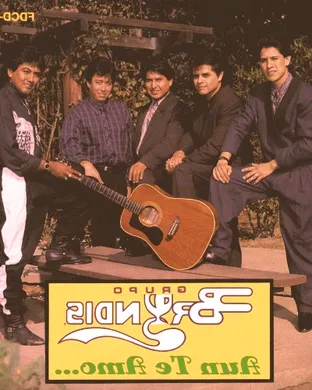 Grupo Bryndis New York