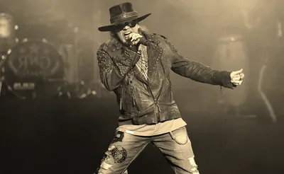 Guns N Roses