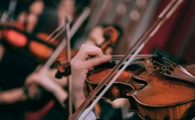 La La Land In Concert