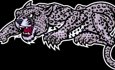 Lafayette Leopards