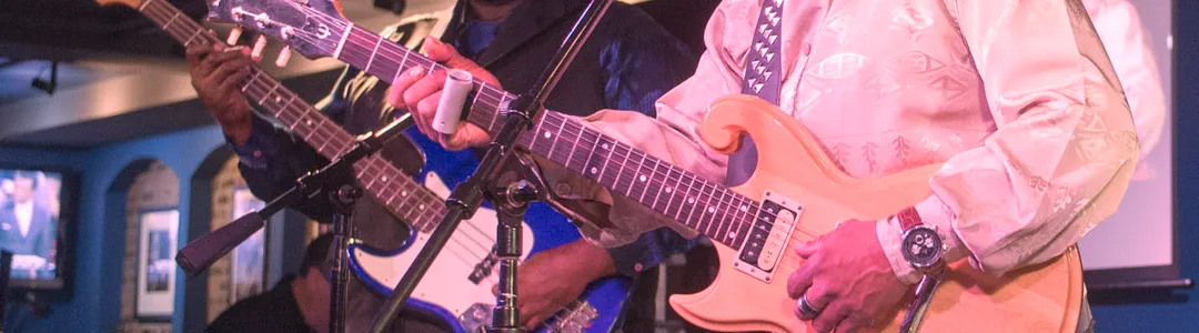 Lil Ed And The Blues Imperials