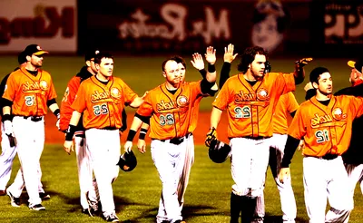 Long Island Ducks