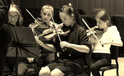 Orchestra Of St. Luke's