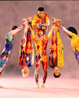Pilobolus