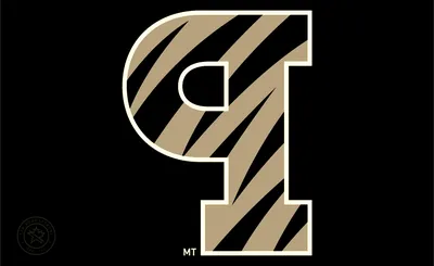 Princeton Tigers