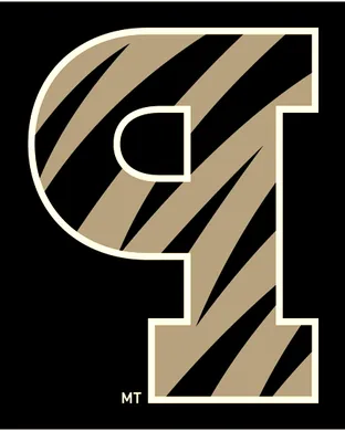 Princeton Tigers