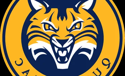 Quinnipiac Bobcats