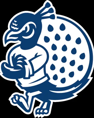 Saint Peter's Peacocks vs. Quinnipiac Bobcats
