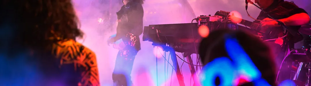 The Flaming Lips