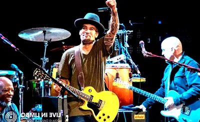 The Innocent Criminals