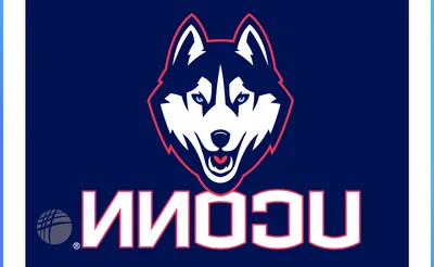 UConn Huskies