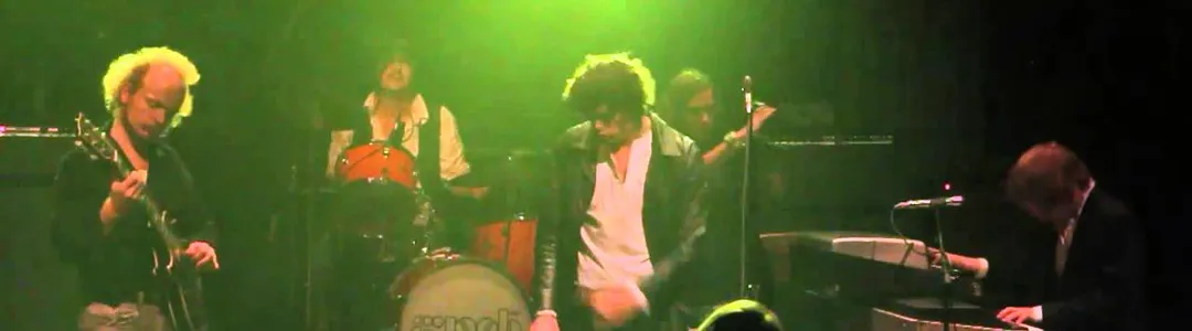 Wild Child - A Tribute To The Doors