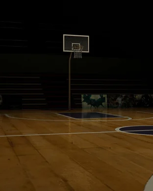 Bryant Bulldogs Women's Basketball