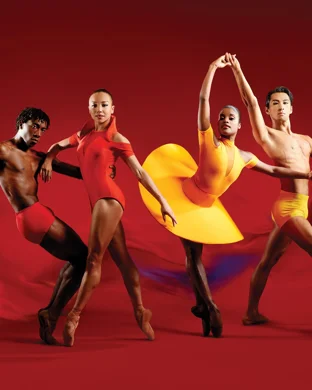 Robyn Orlin New York